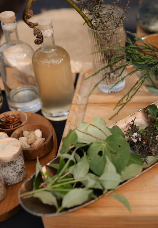 Foraging and Edible Plant Identification Workshop