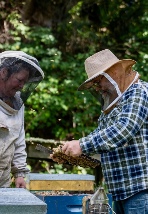 Honey Tasting and Bee Hive Tour