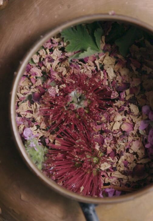 Learn Distillation and How to Make Aromatic Waters