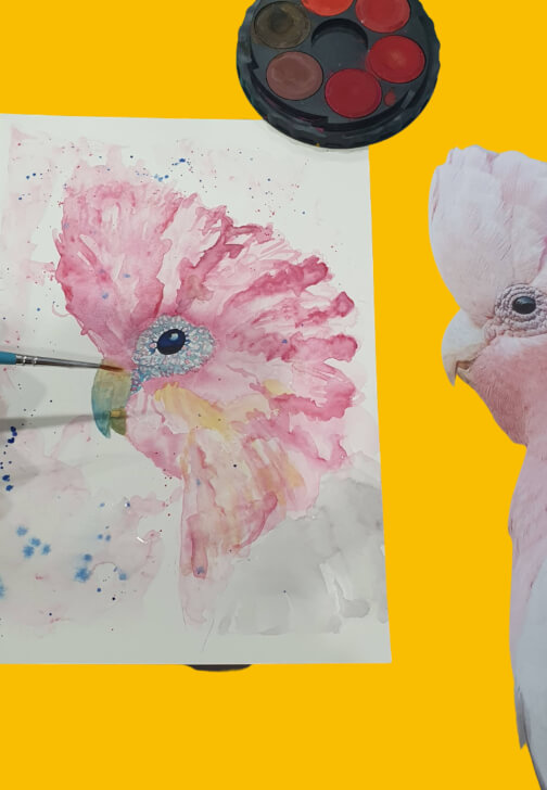 Watercolour Painting at Home: Australian Plants and Birds