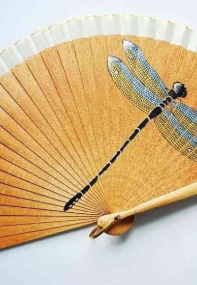 Paint Your Own Watercolour Fan