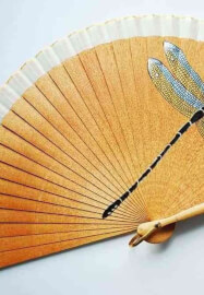 Paint Your Own Watercolour Silk Fan