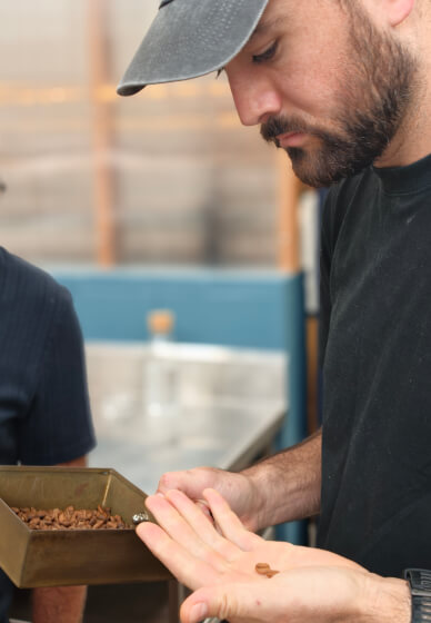 Sample Coffee Roasting 101 Class