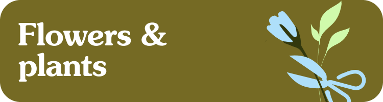 Flowers and Plants Classes Online